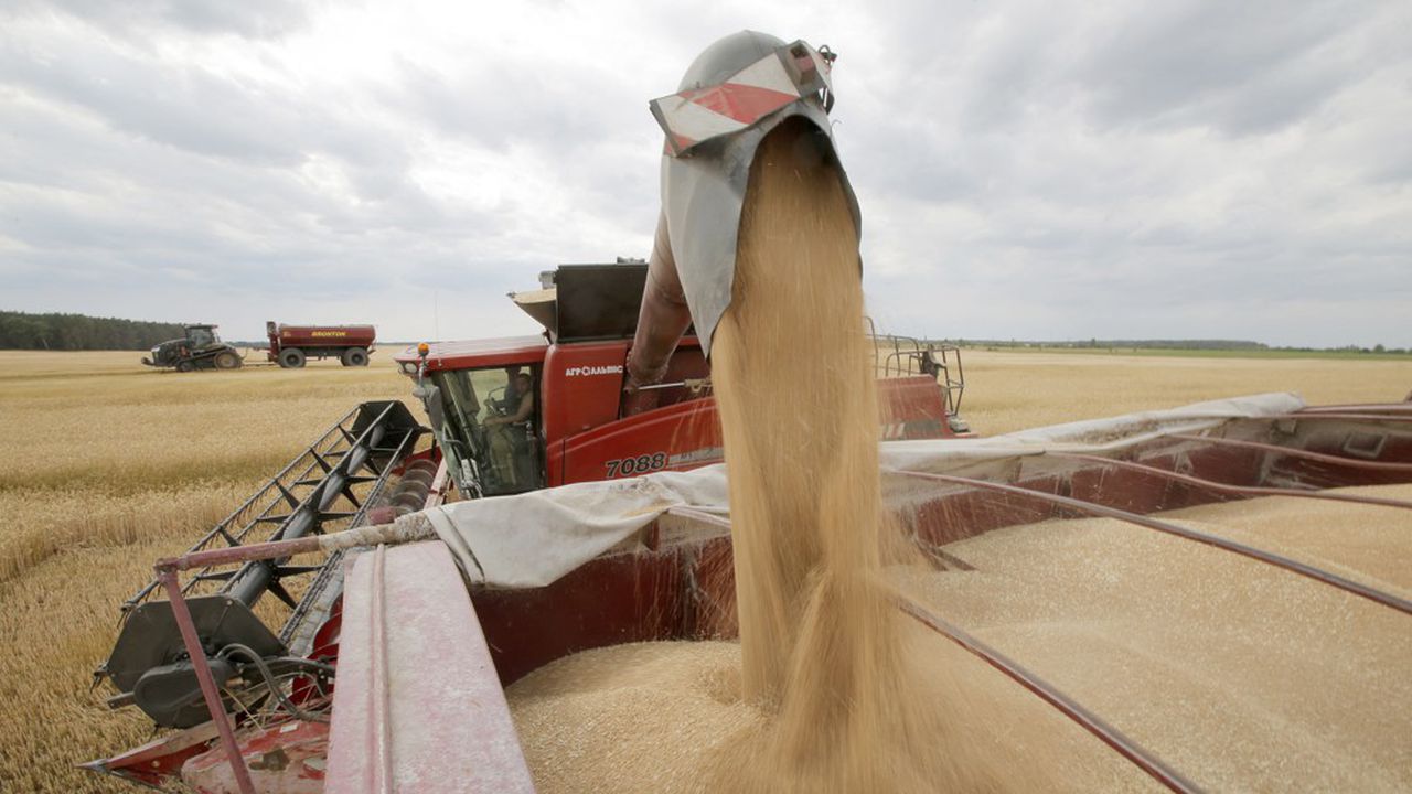 Le Maroc Devient Le Premier Importateur De Bl De Lunion Europ Enne Afroactu Com